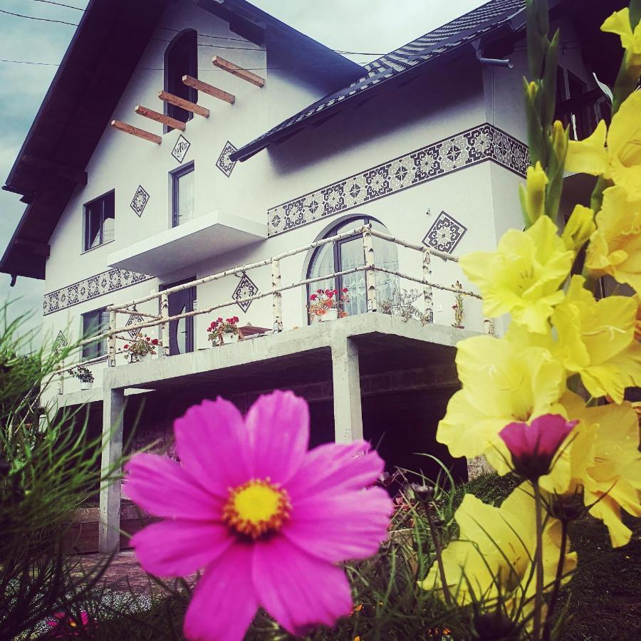 Casa Aureliana Villa Ciocanesti Exterior photo